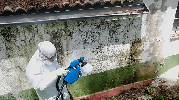 Top rated local Attic Mold Remediation specialists in Viewtown, VA